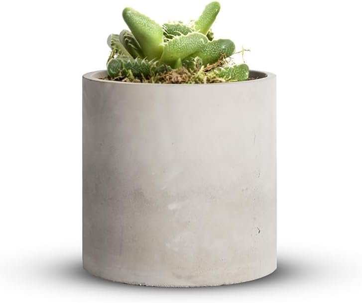 Cement Plant Pots Indoor - 4.8 inch/12 CM XXXsmall Concrete Planter Pot for Planting - Modern Stone Clay Flower Pot with Drainage Hole for Garden, Home, Office Decor, Grey