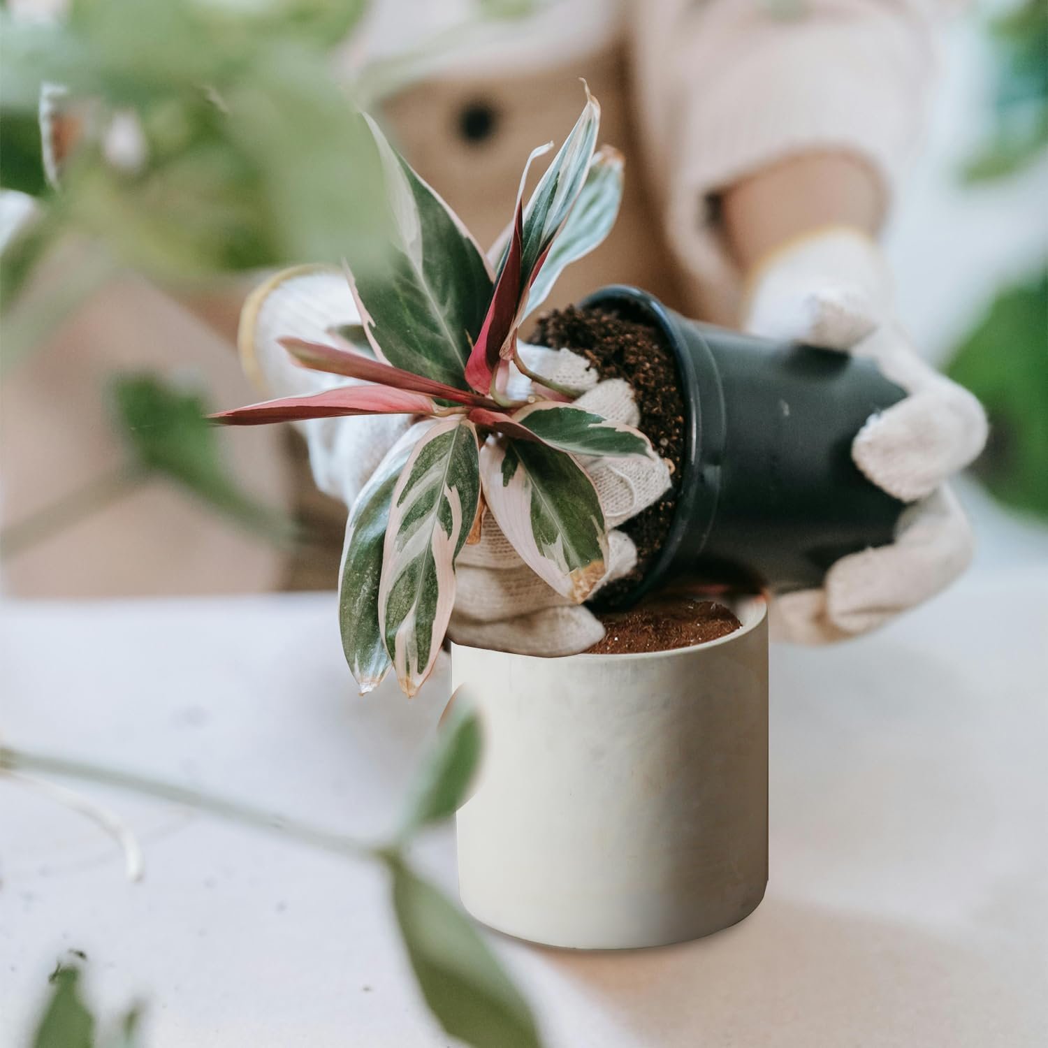 Cement Plant Pots Indoor - 4.8 inch/12 CM XXXsmall Concrete Planter Pot for Planting - Modern Stone Clay Flower Pot with Drainage Hole for Garden, Home, Office Decor, Grey - Image 2